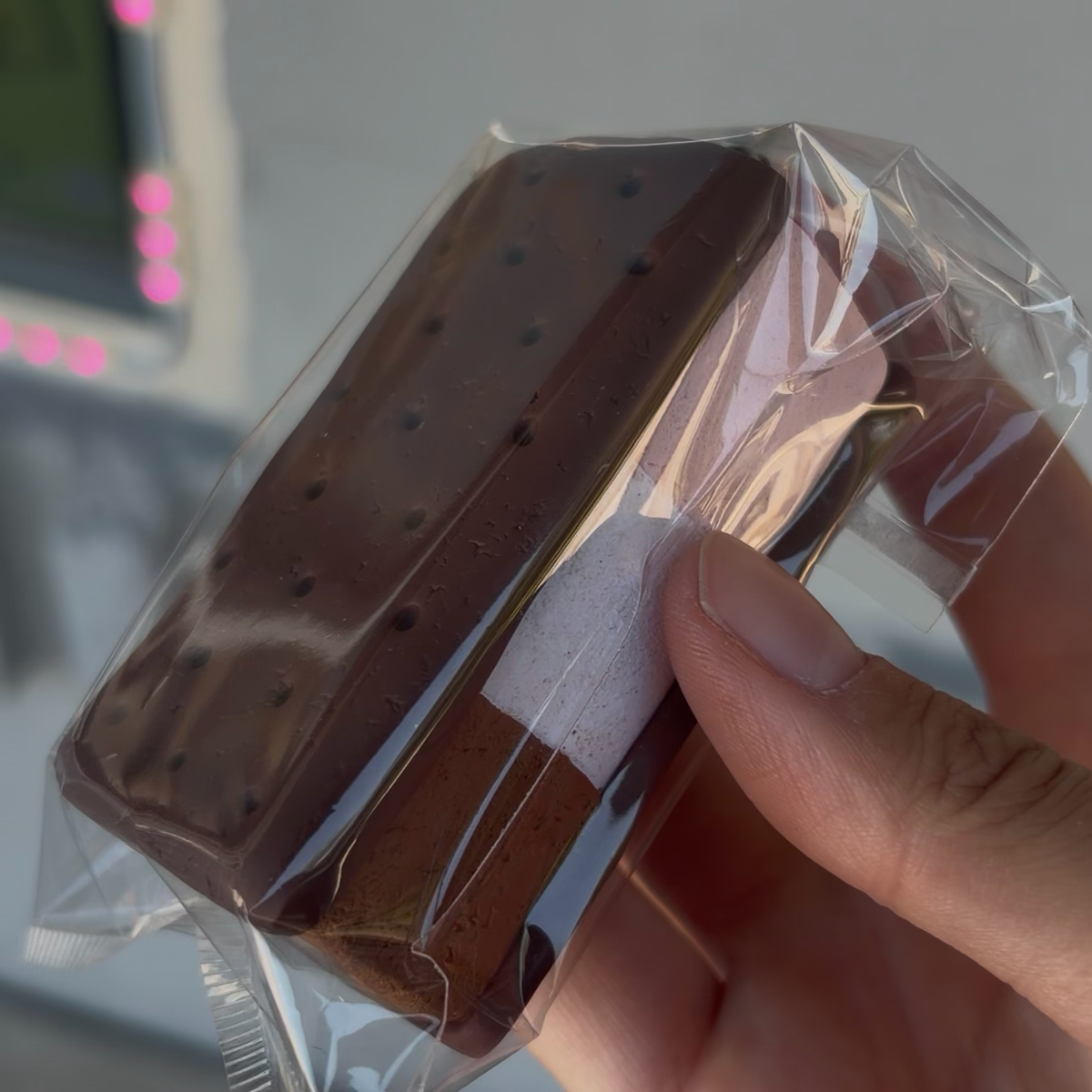 Neapolitan ice cream sandwich lighter case