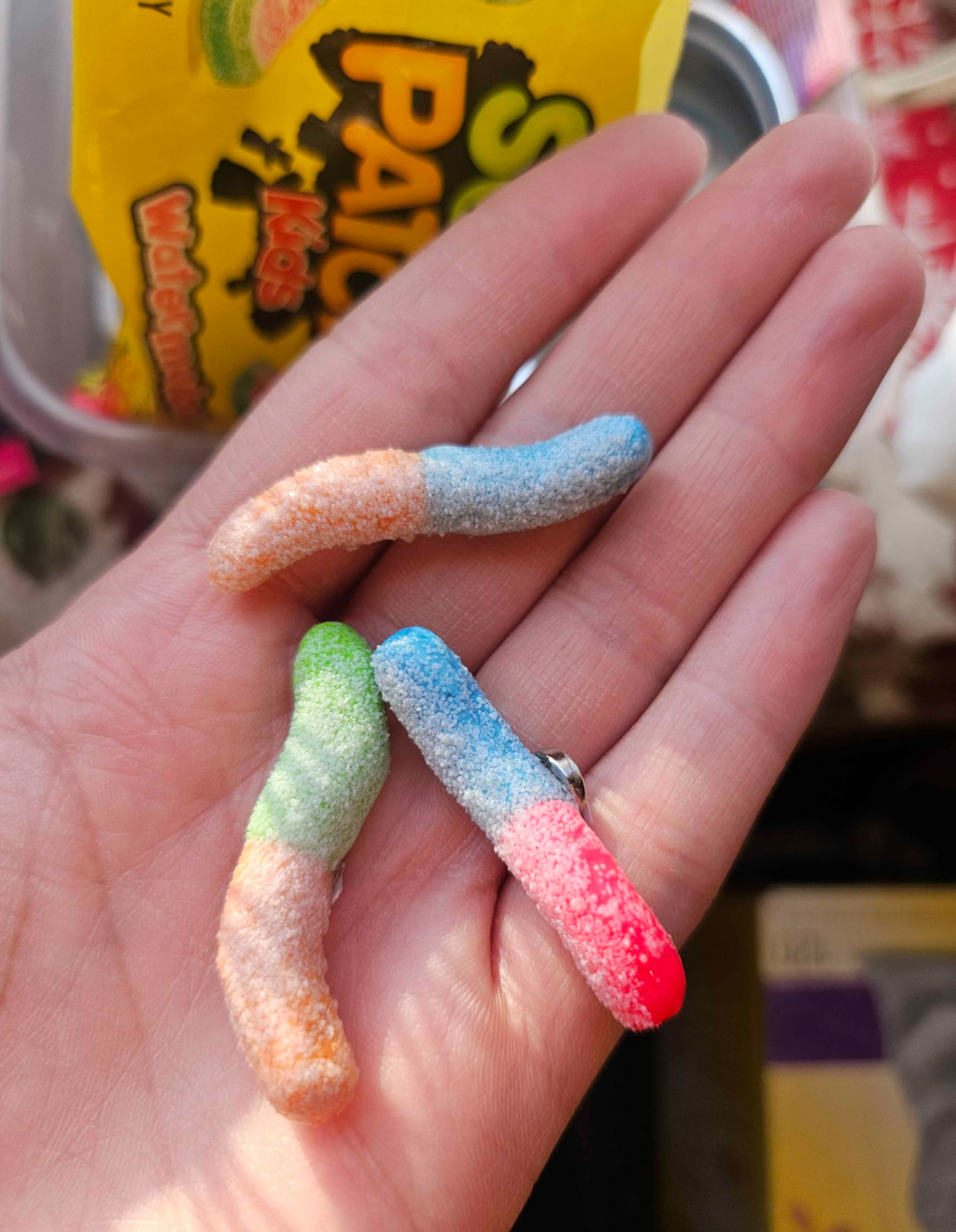 Sour Gummy Worm Magnets